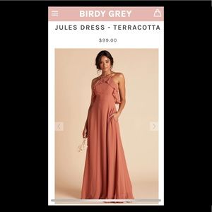 Birdy Grey Jules Bridesmaid Dress in Terracotta